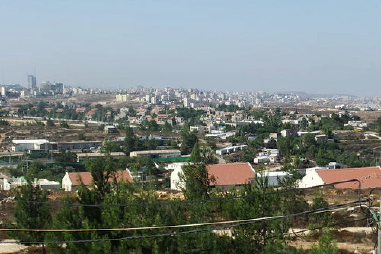 Zeev elkin