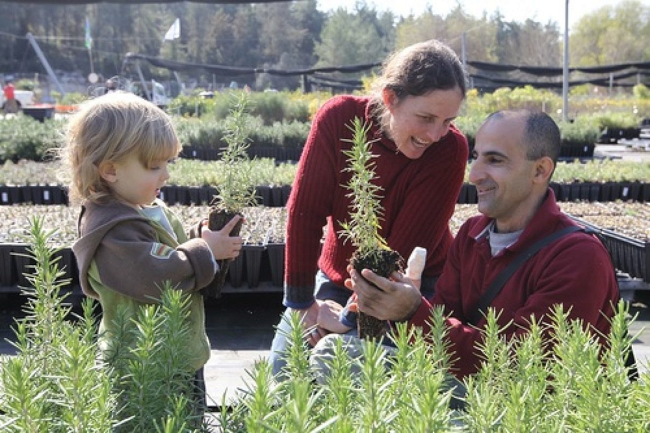 Two-year-old Hagai, and his parents Ofra and Eyal, choose plants in a nursery in Eshtaol, Israel, in celebration of Tu B'Shevat on Jan. 19, 2011. Credit: Nati Shohat/Flash90.