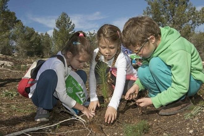 Planting in Israel as part of the monthlong nationwide campaign organized by KKL-JNF in advance of Tu B'Shevat. Credit: Yossi Aloni.