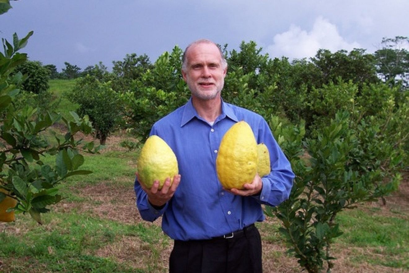 Darrell Zaslow poses with massive etrog fruits that he grew. Credit: Courtesy.