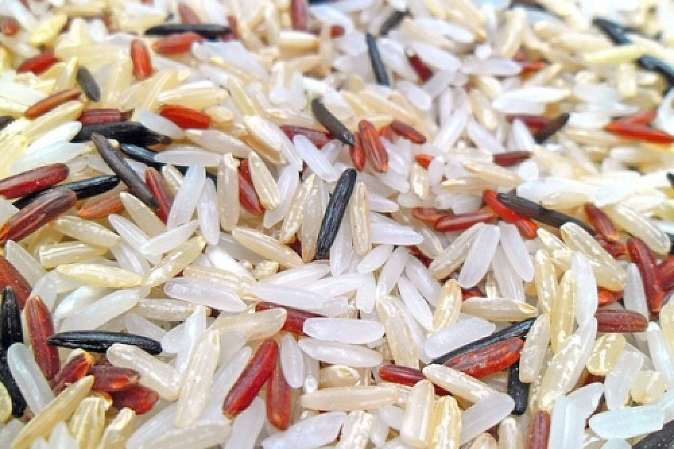 Rice, a form of kitniyot. Credit: Earth100 via Wikimedia Commons.