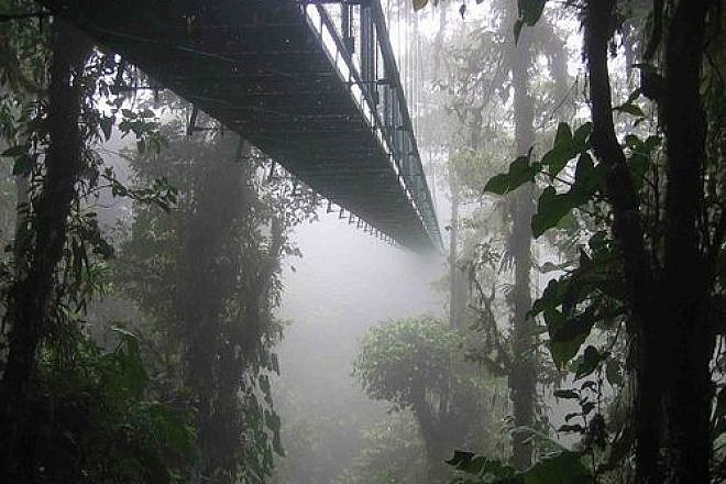 The Santa Elena Skywalk through the Costa Rican rainforest. Credit: Dirk van der Made.