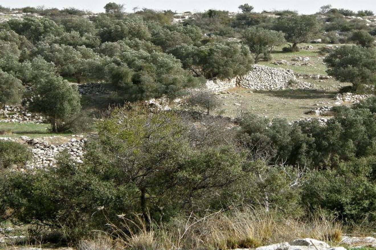 Givat Sher (Credit: Rimona Traub)