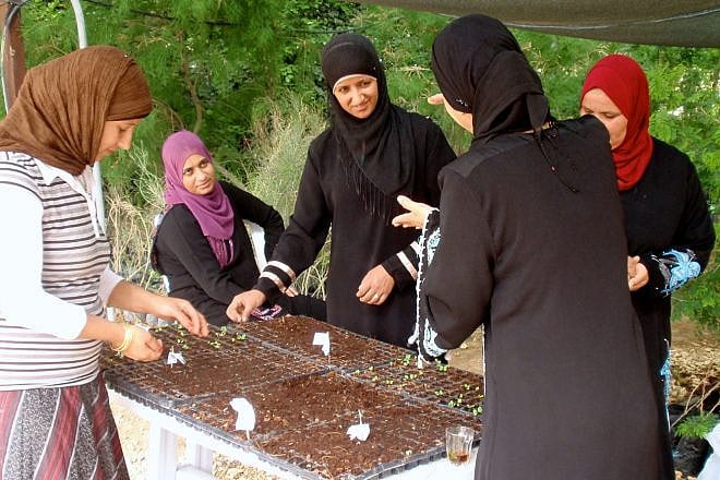 Bedouin women participating in the Wadi Attir program. Credit: Jewish National Fund.