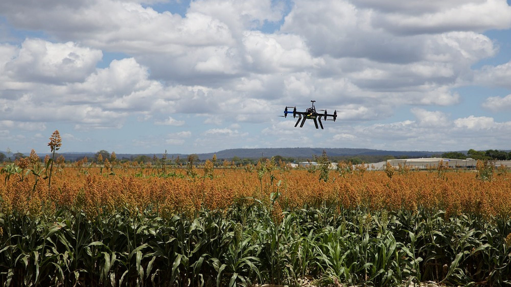 Illustrative: A drone flying through corn fields highlighting "agTech" or agricultural technology. Credit: Pixabay Creative Commons.
