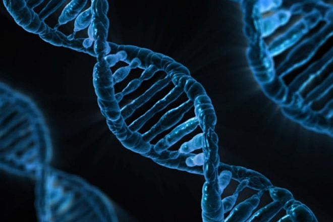 A depiction of DNA strands. Credit: Pixabay.