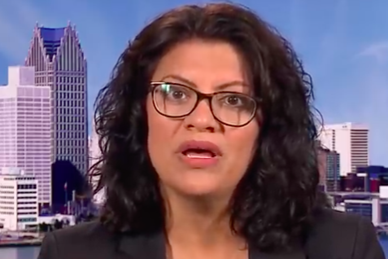 Rep. Rashida Tlaib (D-Mich.). Source: Screenshot.
