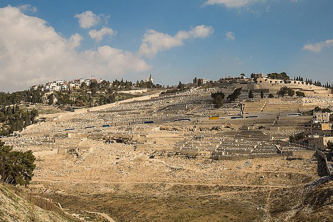 View of Har HaZeitim, Mount of Olives. Credit: International Committee for Har HaZeitim.