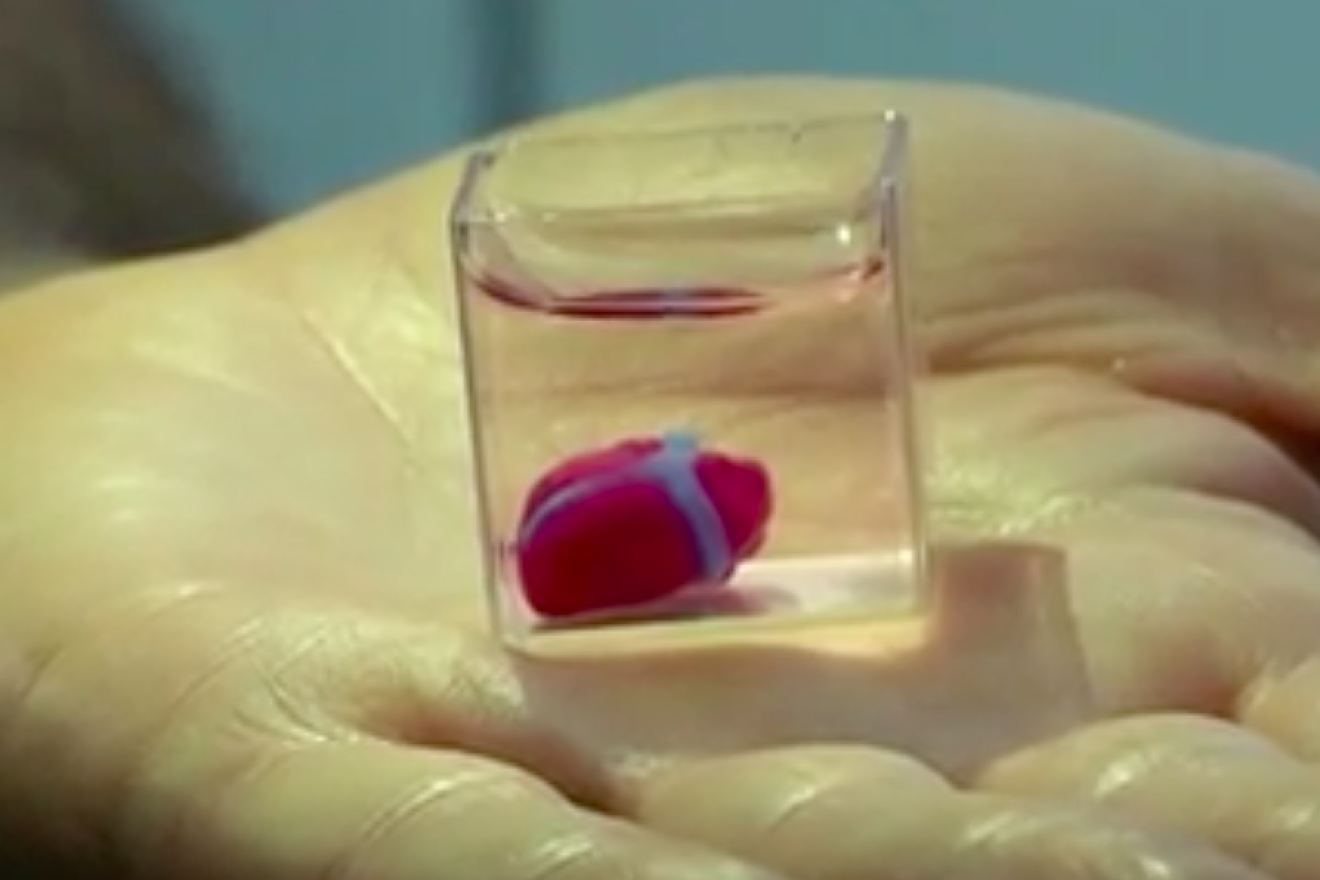 The first 3D print of a complete heart was unveiled by Tel Aviv University scientists on April 15, 2019. Credit: Screenshot.