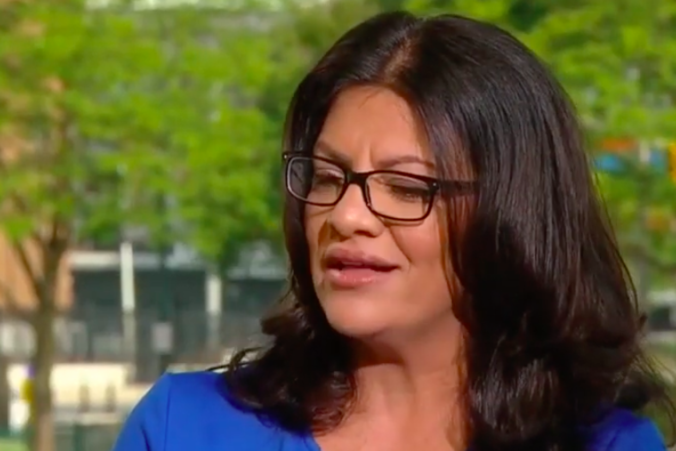 Rep. Rashida Tlaib (D-Mich.). Source: Screenshot.