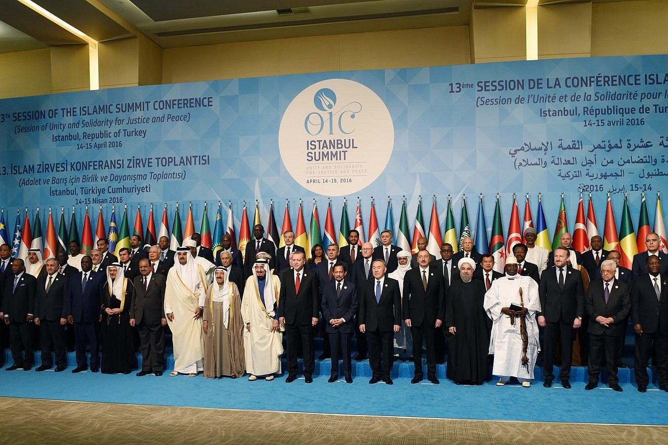 Session of the Islamic Summit Conference in Istanbul, Turkey, April 2016. Credit: Wikipedia.