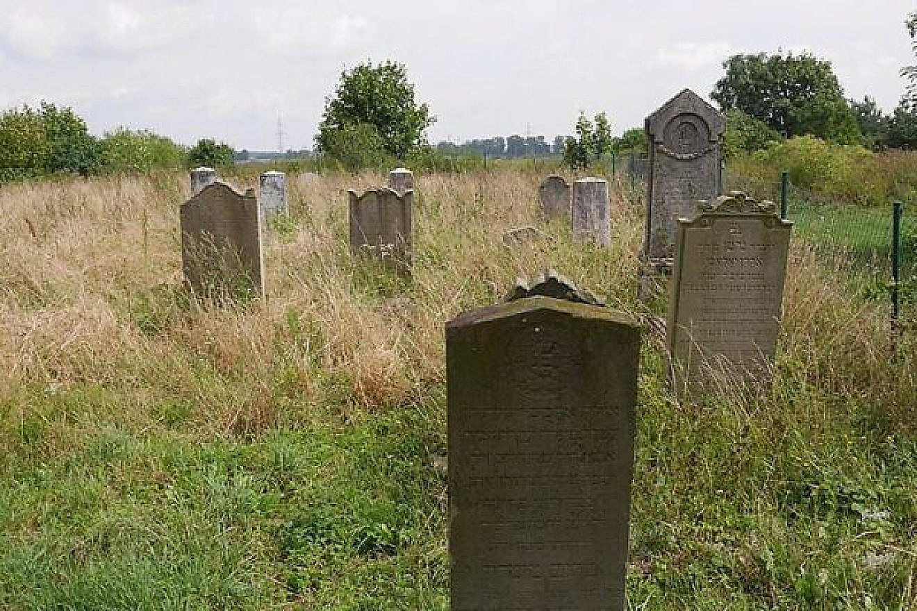 The Jewish cemetery in the Polish town of Zalewo. Credit: Wikimedia Commons.