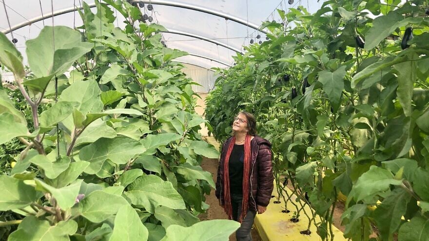 Ziva Gilad, a researcher in agricultural research-and-development in the Jordan Valley, at a date farm in the Jordan Valley. Photo by Eliana Rudee.