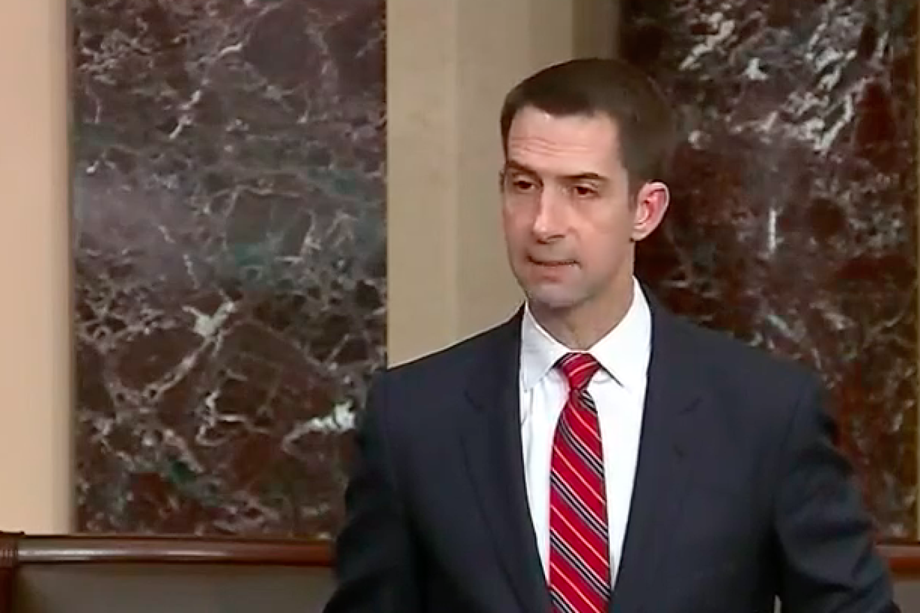 U.S. Sen. Tom Cotton (R-Ark.) speaks on the Senate floor, Jan. 8, 2019. Source: Screenshot.