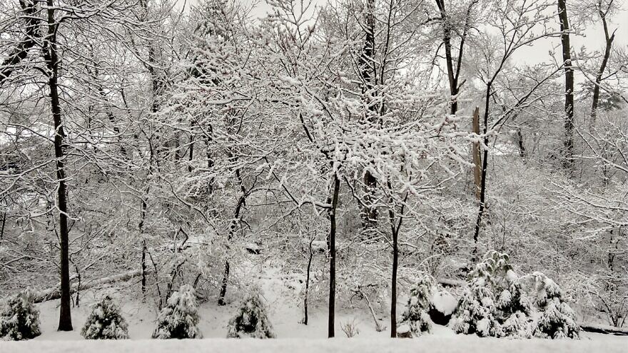 Snow in the Boston suburbs over the weekend of April 17-19, 2020. Photo by Sean Savage.