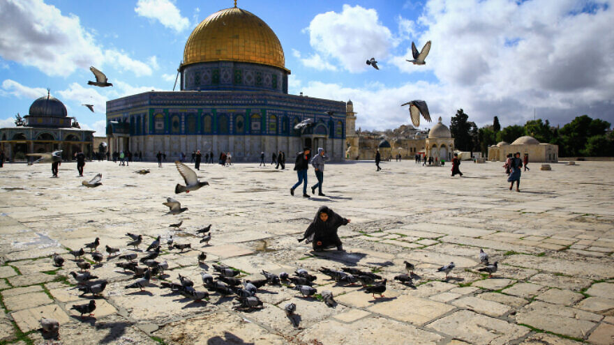 Muslim children play with pigeons at the Dome of the Rock, in Jerusalem's Old City, on Jan. 31, 2020. Photo by Sliman Khader/Flash90.