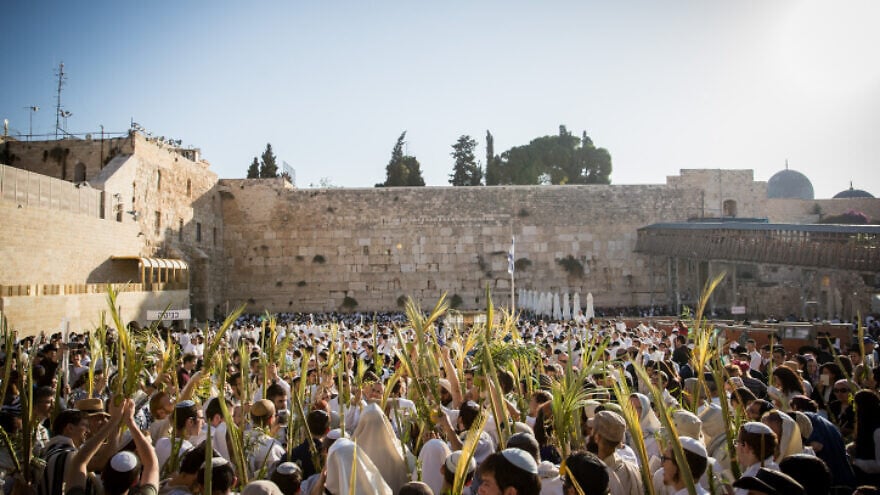 Hoshana Rabbah prayers in Israel celebrate return of hostages