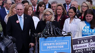 Rep. Liz Cheney (R-Wyo.) in 2019. Credit: Jerome460/Shutterstock.