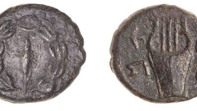 The 2,000-year-old coins that date back to the period of the Jewish revolts against the Romans, July 13, 2021.
Credit: Tal Rogovsky.