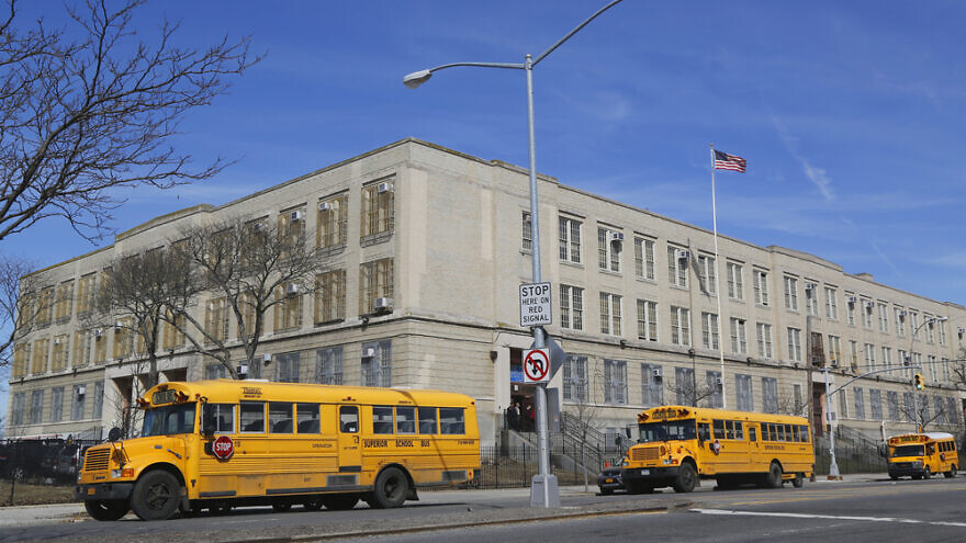Buses in the front of a public school in Brooklyn, N.Y. Credit: Leonard Zhukovsky/Shutterstock.