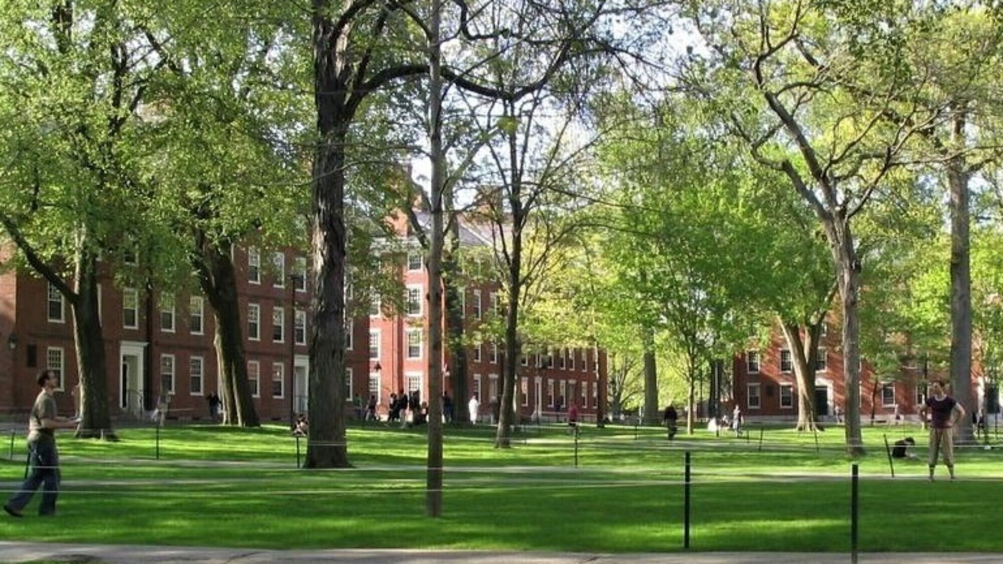 Harvard Yard on the university’s campus in Cambridge, Mass. Credit: Wikimedia Commons.