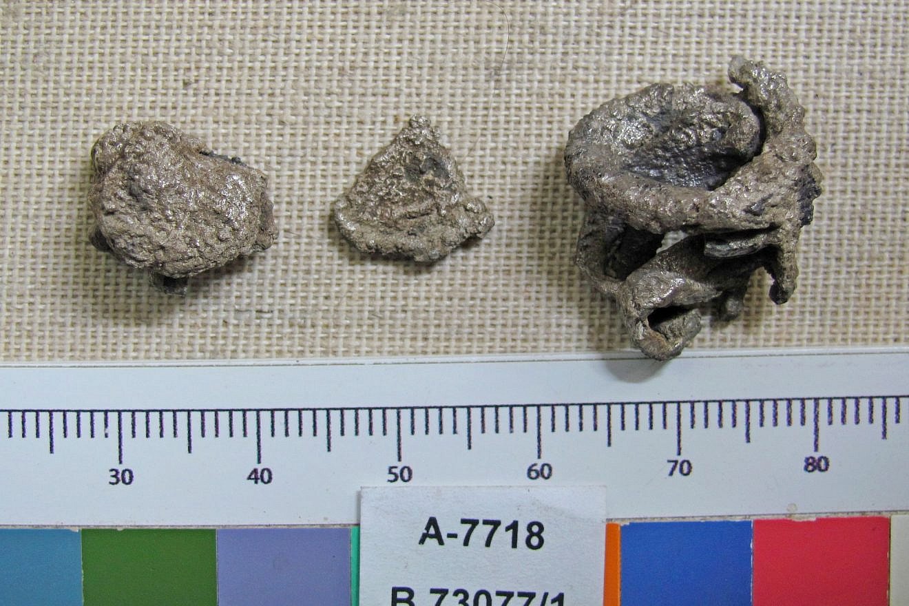 Silver pieces dating back 3,600 years are the earliest evidence of currency being used in trade in the Levant. Credit: Lena Cooperschmidt/Israel Antiquities Authority.