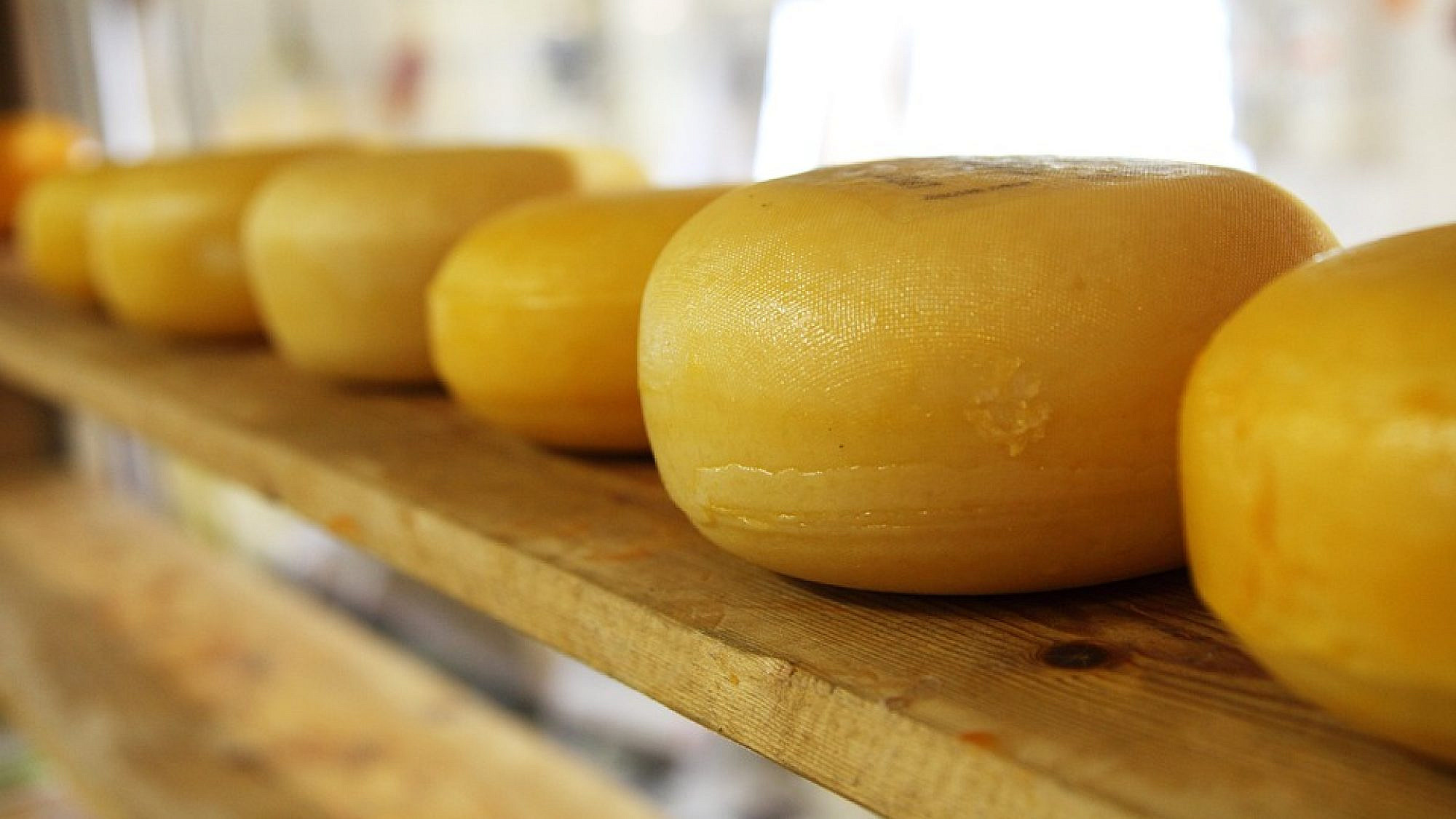 Cheese wheels. Credit: Pixabay.