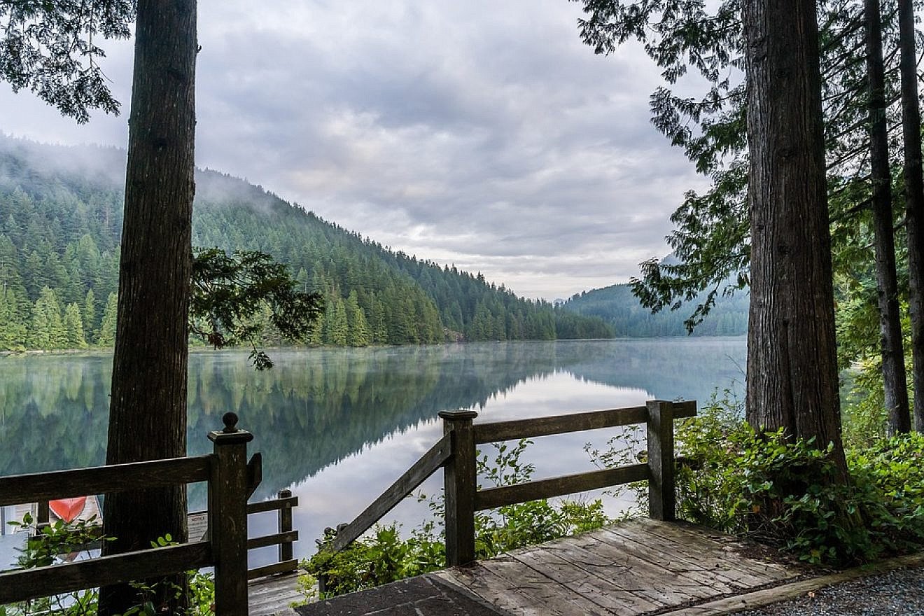 Woods, campgrounds. Credit: Pixabay.
