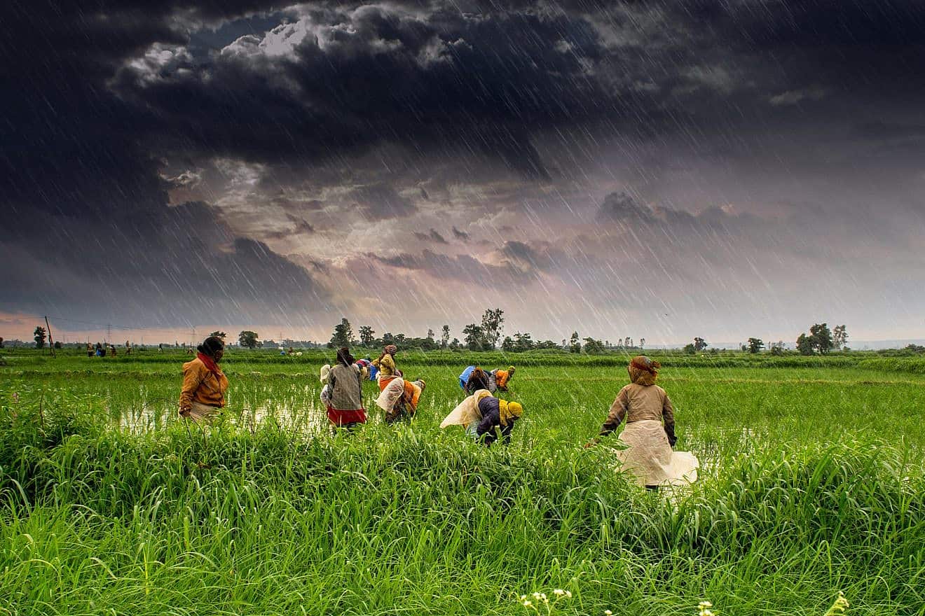Monsoon clouds in Madhya Pradesh state, India. Credit: Rajarshi MITRA via Wikimedia Commons.