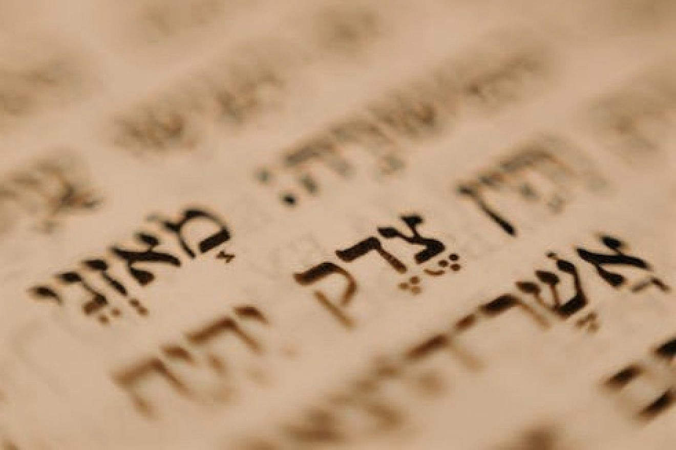 Letters in the Torah. Credit: Cottonbro Studio/Pexels.