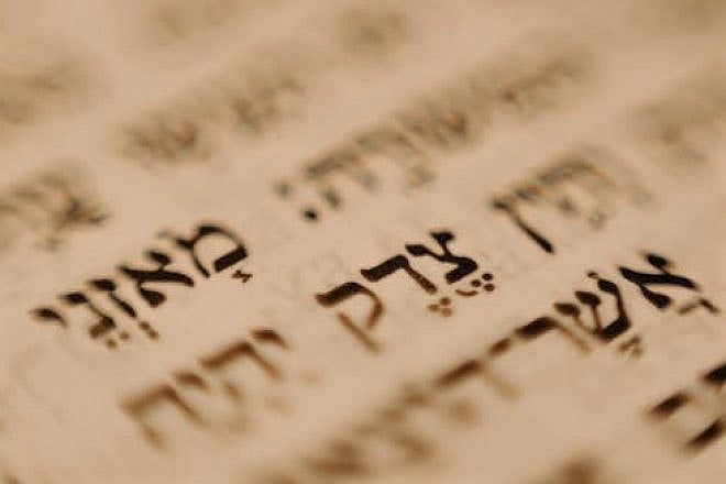Letters in the Torah. Credit: Cottonbro Studio/Pexels.