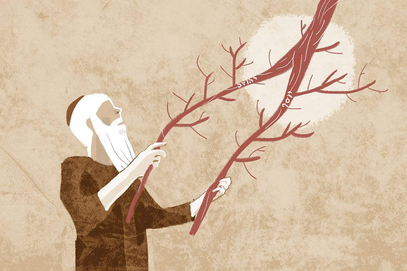 "I will take the stick of Yosef .. .and I will place it with the stick of Yehuda ... and they shall be one in My hand" (Ezekiel 37:19). Image: Meirav Barlev
