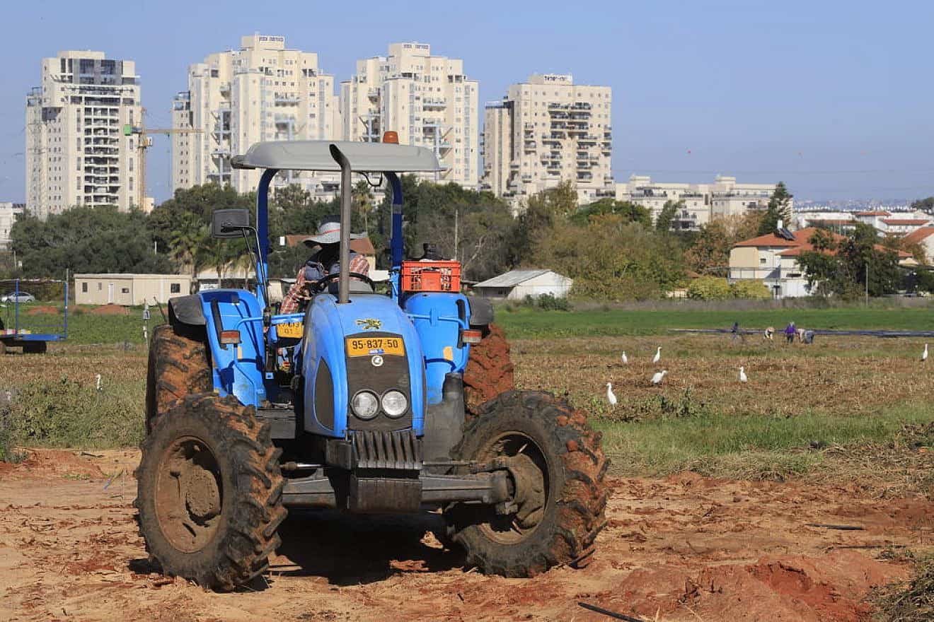 Farmers work the fields of Moshav Nehalim, south of Petach Tikvah, Dec. 27, 2020. Photo by Eitan Elhadez-Barak/TPS.