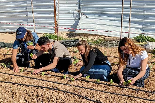 Alternative Break Students working the land of Israel (Photo Credit: Jewish National Fund-USA)