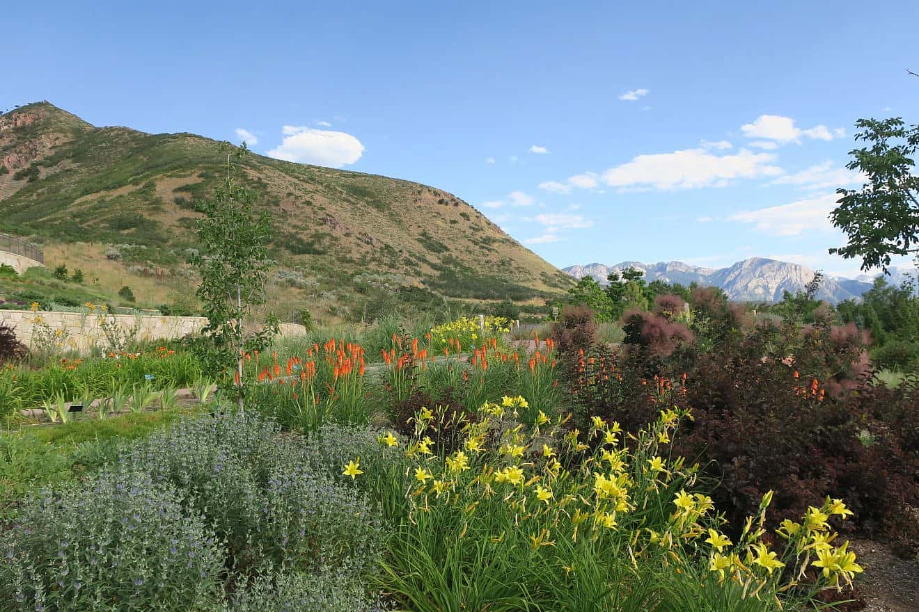 Red Butte Garden and Arboretum at the University of Utah in Salt Lake City. Photo by Menachem Wecker.