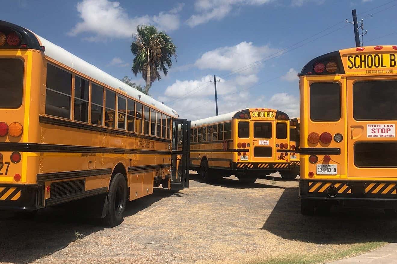School buses. Credit: ernestoeslava/Pixabay.