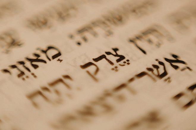 Words from a Torah passage. Credit: Cottonbro Studio/Pexels.