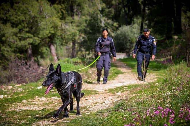 Israeli police seen during a search for 9-years-old Hymanut Kasau, at a forest in the northern Israeli city of Safed, March 10, 2024. Photo by David Cohen/Flash90.