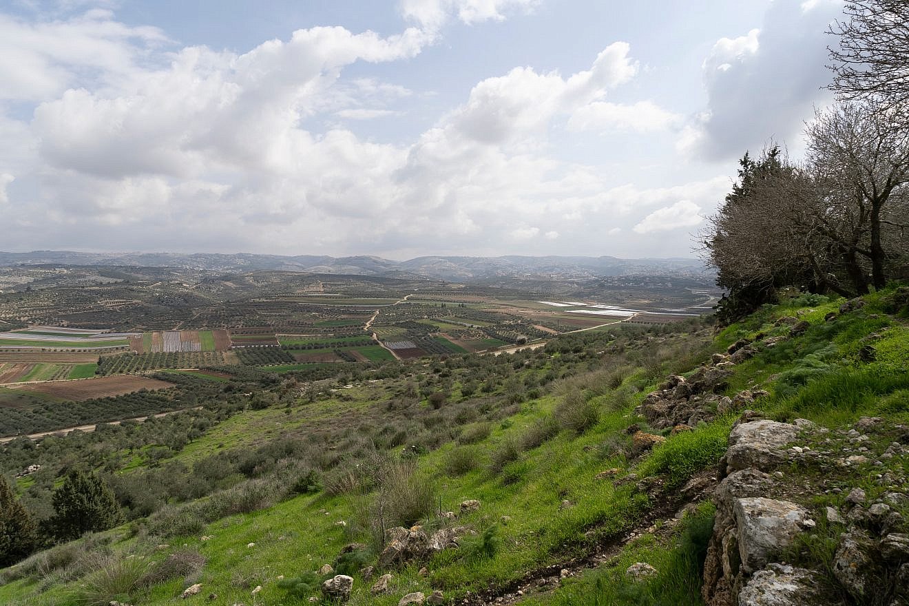 Landscape in Judea and Samaria. Credit: pokku/Shutterstock.