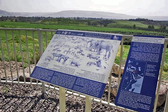 The Ubeidiya site is accessible and open to the public. Photo by Emil Aladjem/Israel Antiquities Authority.