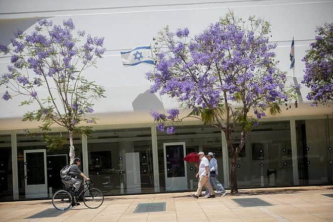 Biking and walking by jacaranda trees  on Habima Square in Tel Aviv on May 16, 2024.  Photo by Miriam Alster/Flash90.