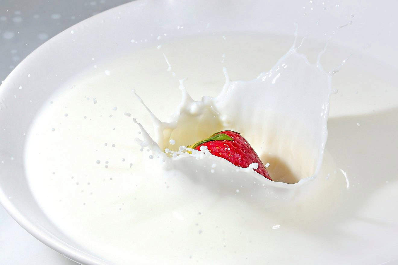 Milk and dairy. Credit: adonyig/Pixabay,