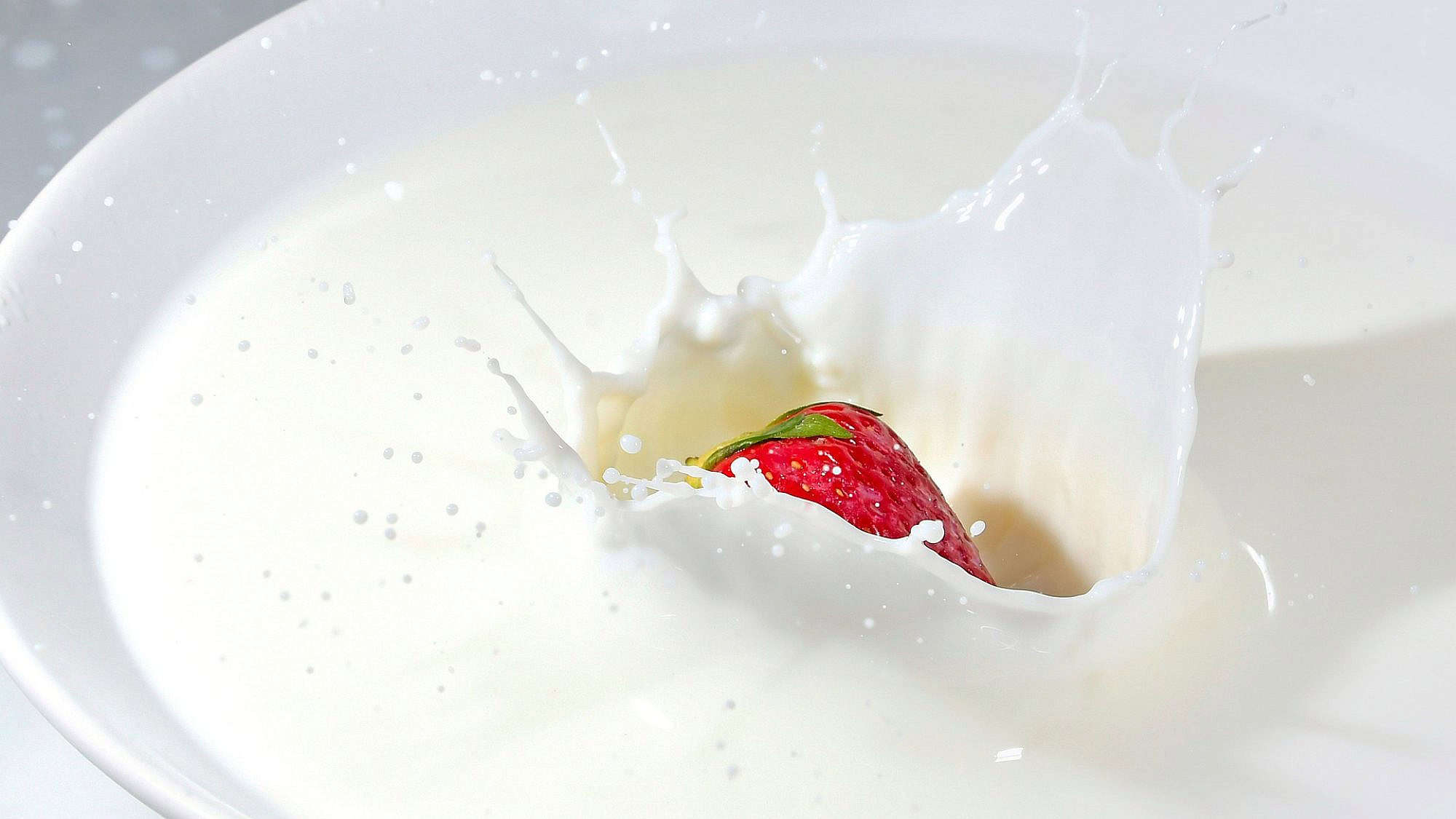 Milk and dairy. Credit: adonyig/Pixabay,