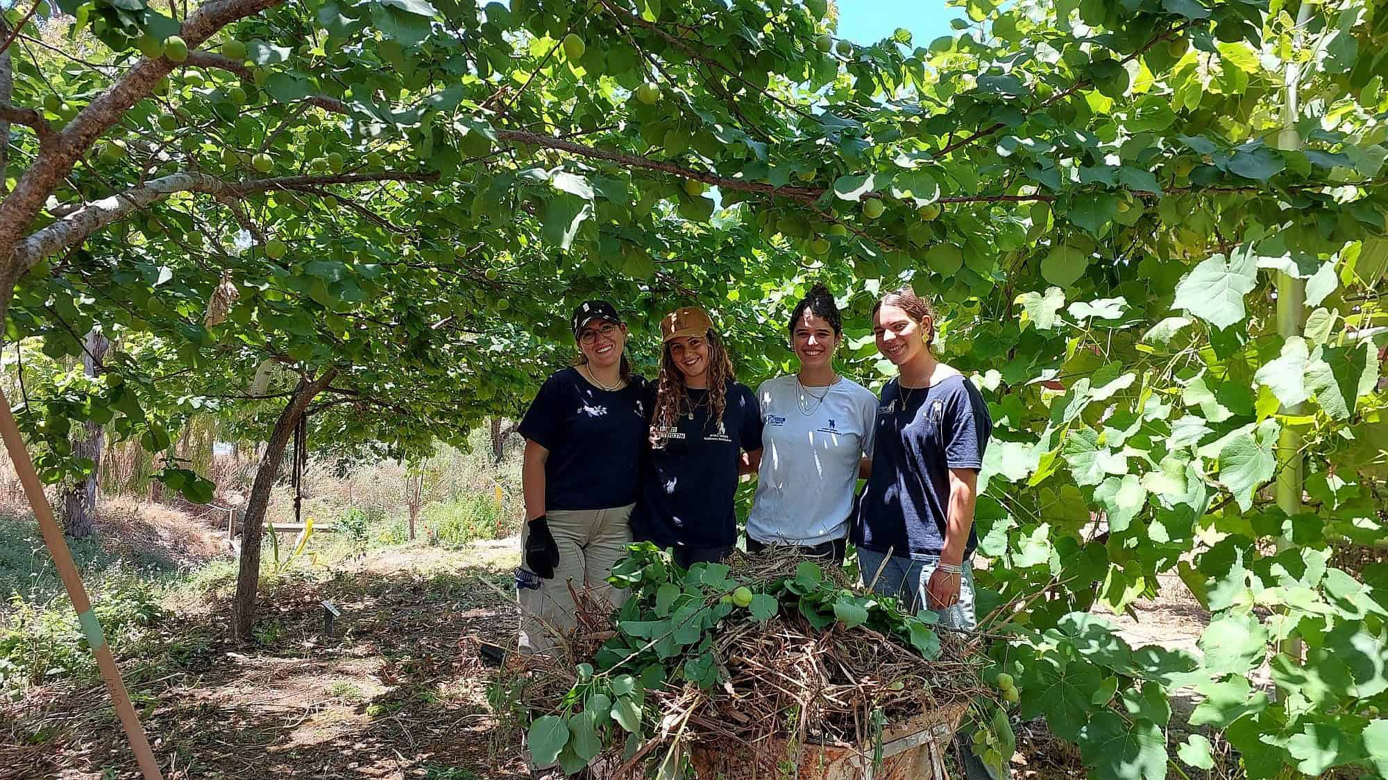 Volunteers from Hashomer HaChadash's Alexander Zaid youth leadership program rebuild the forest of Kfar Aza near the border with the Gaza Strip. Credit: Courtesy of Hashomer HaChadash.