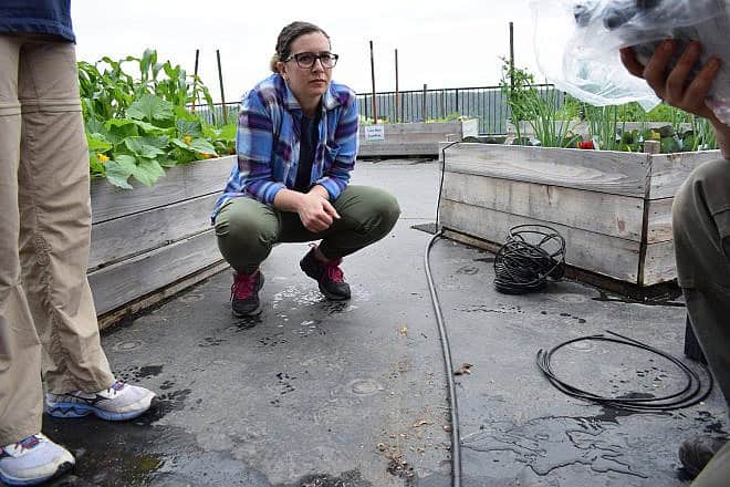 Adrienne Krone, an associate professor at Allegheny College in Meadville, Pa. Photo by Lenny Zimmermann.