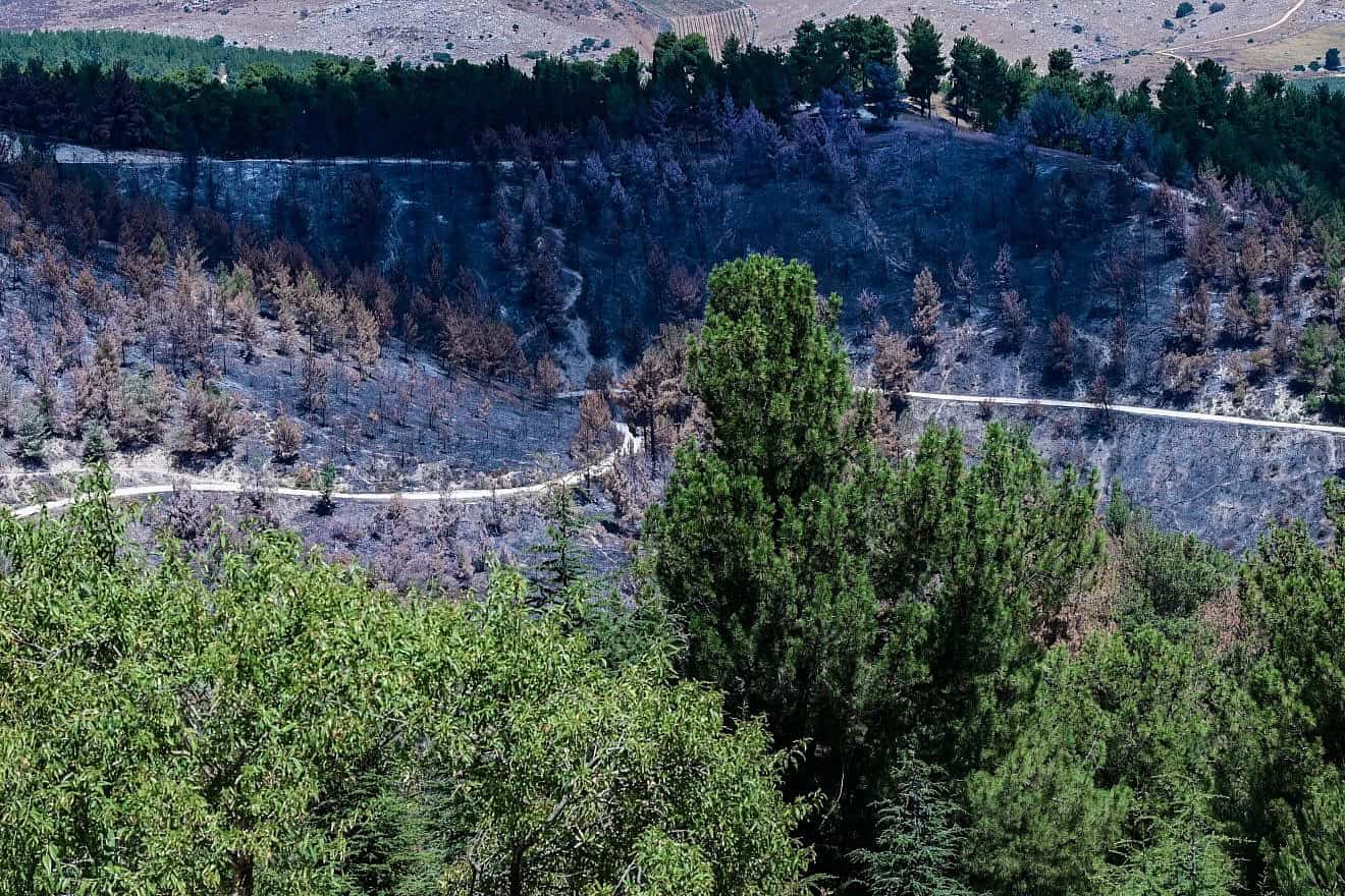 The damage caused to the Biriya Forest in northern Israel following missile attacks from Lebanon, July 10, 2024. Photo by Avshalom Sassoni/Flash90.
