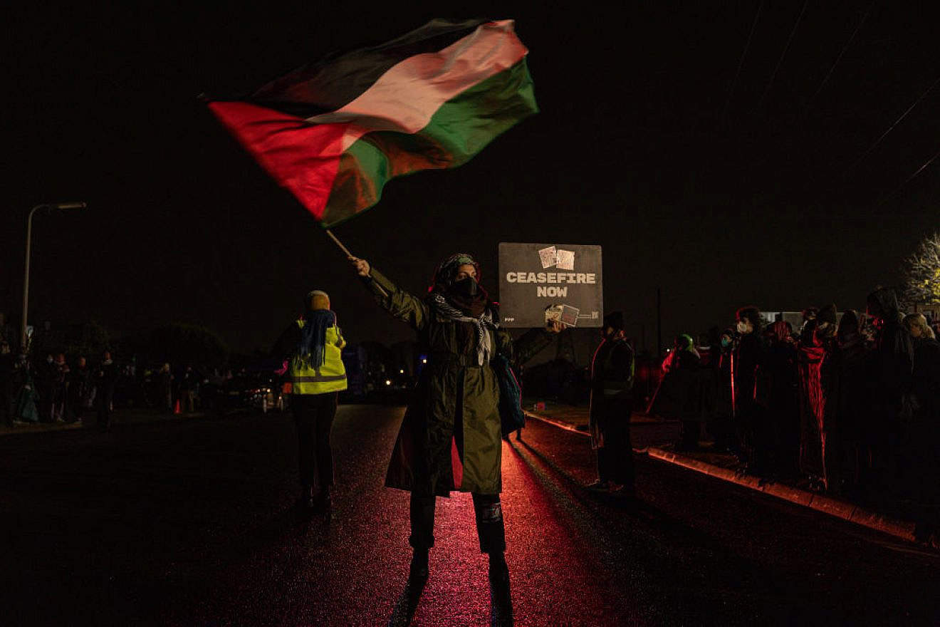 An anti-Israel demonstrator holds a flag during a protest in Melbourne, Australia, on July 12, 2024. Photo by Diego Fedele via Getty Images.