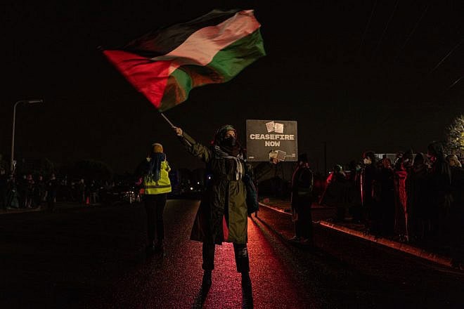 An anti-Israel demonstrator holds a flag during a protest in Melbourne, Australia, on July 12, 2024. Photo by Diego Fedele via Getty Images.