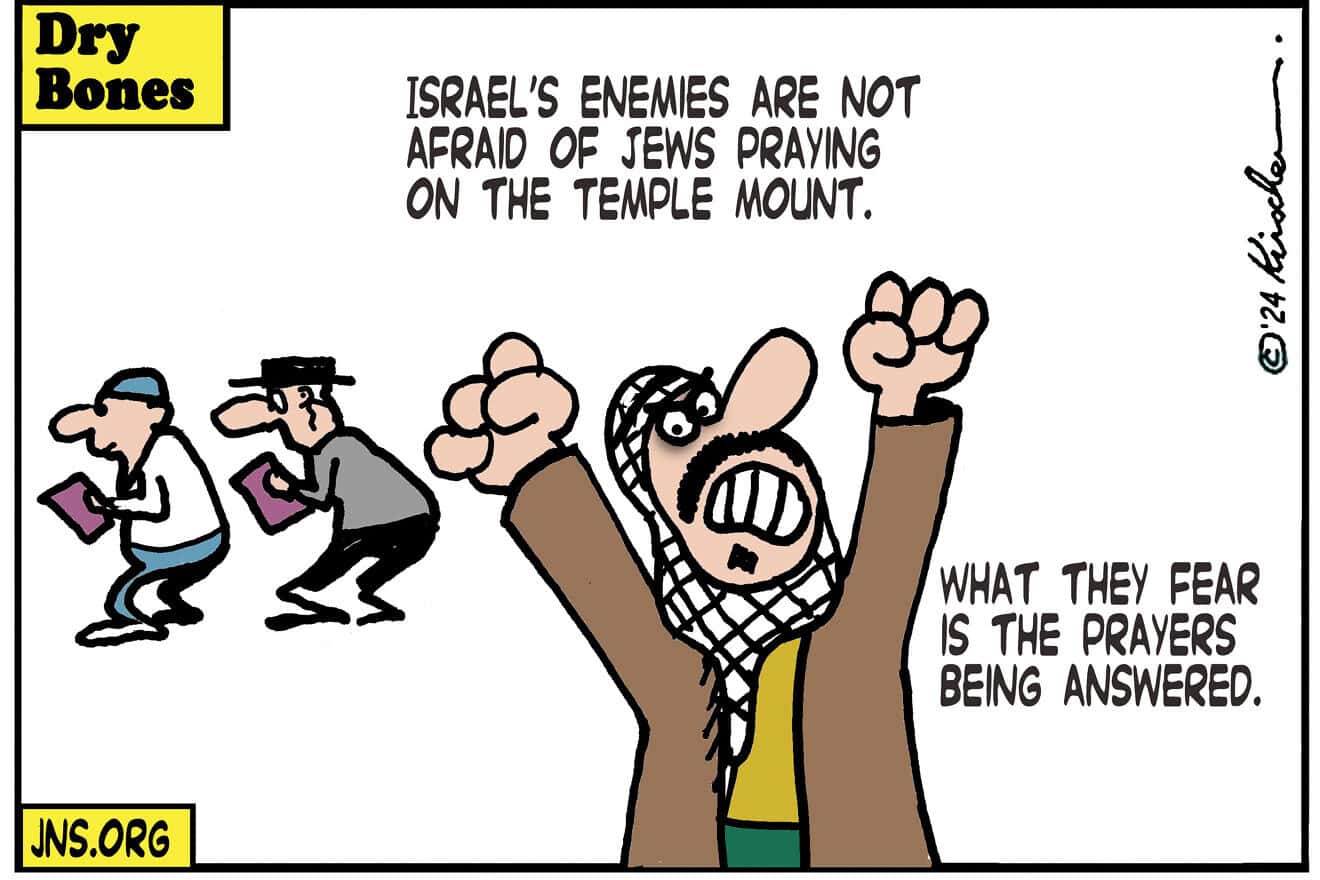 Credit: Yaakov (DryBones) Kirschen.
