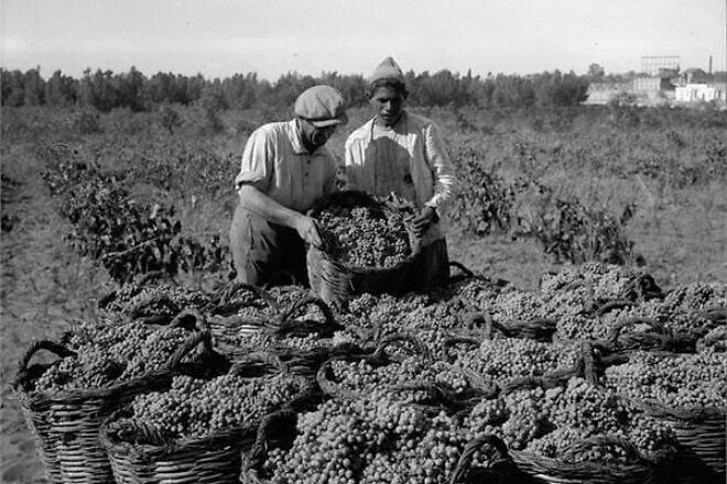Agricultural workers in the town of Rishon Letzion, 1931. Credit: Jewish National Fund Archive via Wikimedia Commons.
